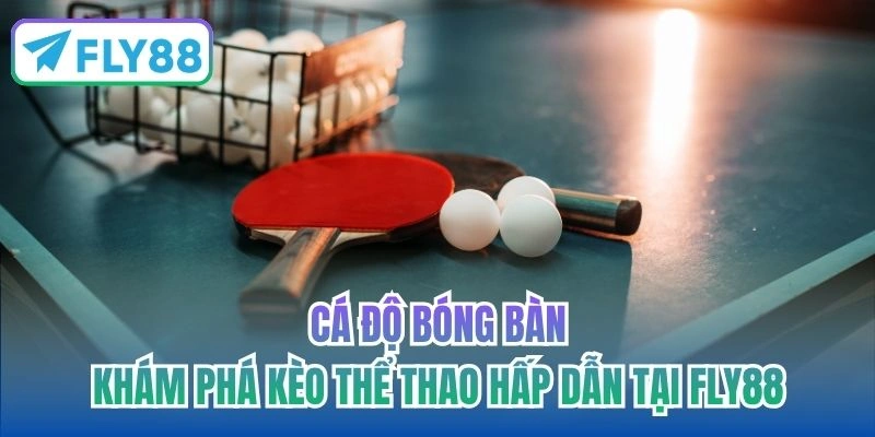 cá độ bóng bàn