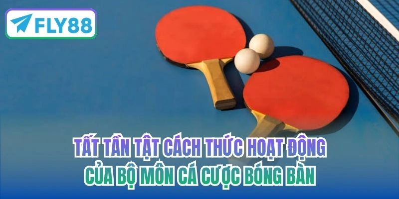 Tất tần tật cách thức hoạt động của bộ môn cá cược bóng bàn