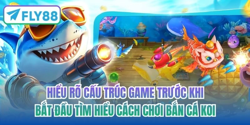 Hiểu rõ cấu trúc game trước khi bắt đầu tìm hiểu cách chơi bắn cá koi